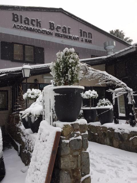 Black Bear Inn Thredbo Kültér fotó